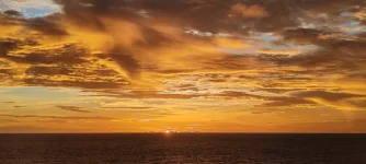 WhatsApp Image 2026-02-02 at 09.51.58w.webp