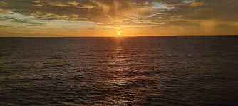 WhatsApp Image 2026-02-02 at 09.51.59.webp