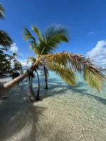 Ilet Du Gosier08.webp