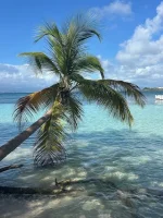 Ilet Du Gosier10.webp