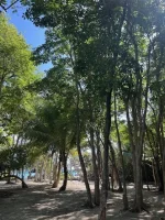 Ilet Du Gosier11.webp