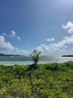 Ilet Du Gosier12.webp