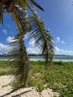 Ilet Du Gosier13.webp