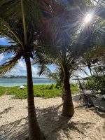 Ilet Du Gosier14.webp