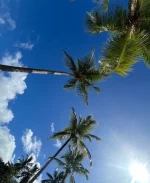 Plage Du Bout06.webp