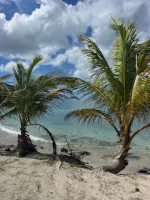 Plage Du Bout13.webp