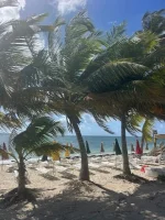 Cockshell Beach3.webp