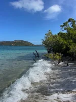 Long Bay Beach (6).webp