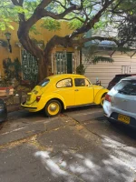 WhatsApp Image 2026-02-03 at 07.52.11.webp