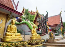 07-KOH-SAMUI-07,01,2026-(73).webp