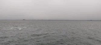 WhatsApp Image 2026-02-07 at 09.14.48.webp