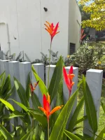 WhatsApp Image 2026-02-09 at 18.03.43.webp