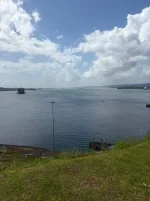 WhatsApp Image 2026-02-09 at 18.02.50 (2).webp