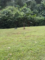 WhatsApp Image 2026-02-09 at 18.03.44.webp