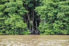 11-BRUNEI--1159.webp 11-BRUNEI--1159.webp