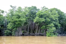 11-BRUNEI--1163.webp 11-BRUNEI--1163.webp