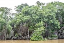 11-BRUNEI--1165.webp 11-BRUNEI--1165.webp