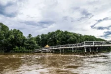 11-BRUNEI--1170.webp 11-BRUNEI--1170.webp