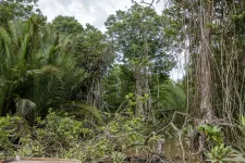 11-BRUNEI--1172.webp 11-BRUNEI--1172.webp