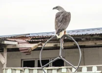 11-BRUNEI--11589.webp 11-BRUNEI--11589.webp