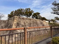 IMG_0251.webp IMG_0251.webp