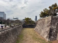 IMG_0254.webp IMG_0254.webp