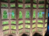 IMG_0995.webp IMG_0995.webp