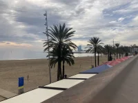 2026-01-16_12-24-19_067.webp 2026-01-16_12-24-19_067.webp