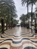 2026-01-17_11-25-54_721.webp 2026-01-17_11-25-54_721.webp