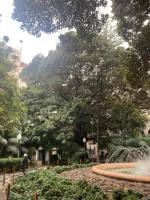 2026-01-17_11-33-11_210.webp 2026-01-17_11-33-11_210.webp