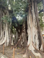 2026-01-17_11-38-13_652.webp 2026-01-17_11-38-13_652.webp