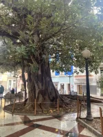 2026-01-17_11-38-41_880.webp 2026-01-17_11-38-41_880.webp