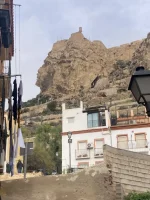 2026-01-17_12-24-35_641.webp 2026-01-17_12-24-35_641.webp