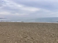 2026-01-17_13-18-41_443.webp 2026-01-17_13-18-41_443.webp