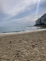 2026-01-17_13-24-02_920.webp 2026-01-17_13-24-02_920.webp