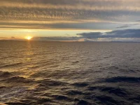 2026-01-17_18-01-06_874.webp 2026-01-17_18-01-06_874.webp