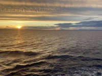 2026-01-17_18-01-10_568.webp 2026-01-17_18-01-10_568.webp