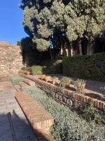 2026-01-18_10-37-31_613.webp 2026-01-18_10-37-31_613.webp