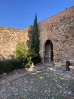 2026-01-18_10-40-50_232.webp 2026-01-18_10-40-50_232.webp