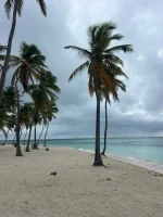 Canto de la playa1.webp