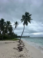 Canto de la playa4.webp