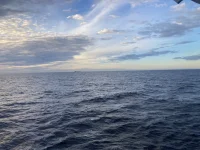 2026-01-20_08-41-11_750.webp 2026-01-20_08-41-11_750.webp