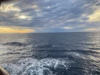 2026-01-20_08-41-28_372.webp 2026-01-20_08-41-28_372.webp