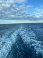 2026-01-20_09-37-21_939.webp 2026-01-20_09-37-21_939.webp