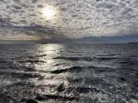 2026-01-20_09-43-06_137.webp 2026-01-20_09-43-06_137.webp