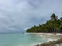 Saona21.webp