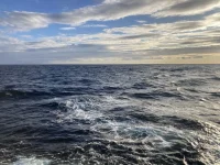 2026-01-20_17-13-05_117.webp 2026-01-20_17-13-05_117.webp