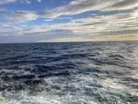 2026-01-20_17-13-12_133.webp 2026-01-20_17-13-12_133.webp