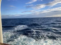 2026-01-20_17-13-14_044.webp 2026-01-20_17-13-14_044.webp