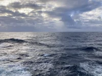 2026-01-21_08-48-33_000.webp 2026-01-21_08-48-33_000.webp